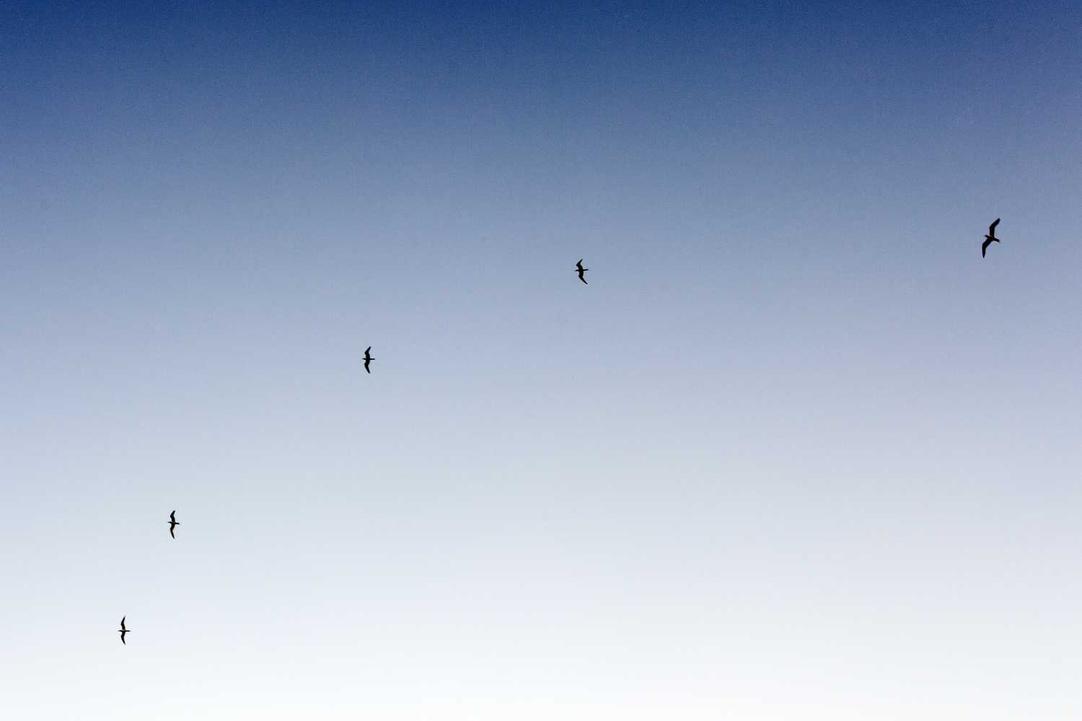 Et doloribus omnis quod dignissimos odit